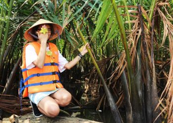 Rừng Dừa Bảy Mẫu ở đâu, giá vé bao nhiêu, đi thế nào?