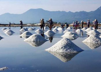 Xe Hội An đi Quảng Ngãi