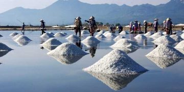 Xe Hội An đi Quảng Ngãi