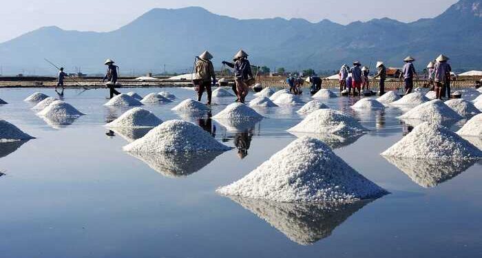 Xe Hội An đi Quảng Ngãi