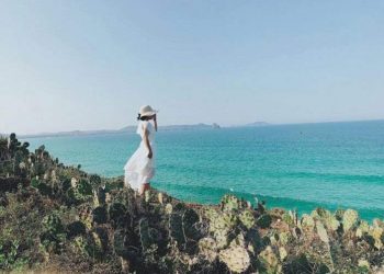 Xe Đà Nẵng đi Phú Yên