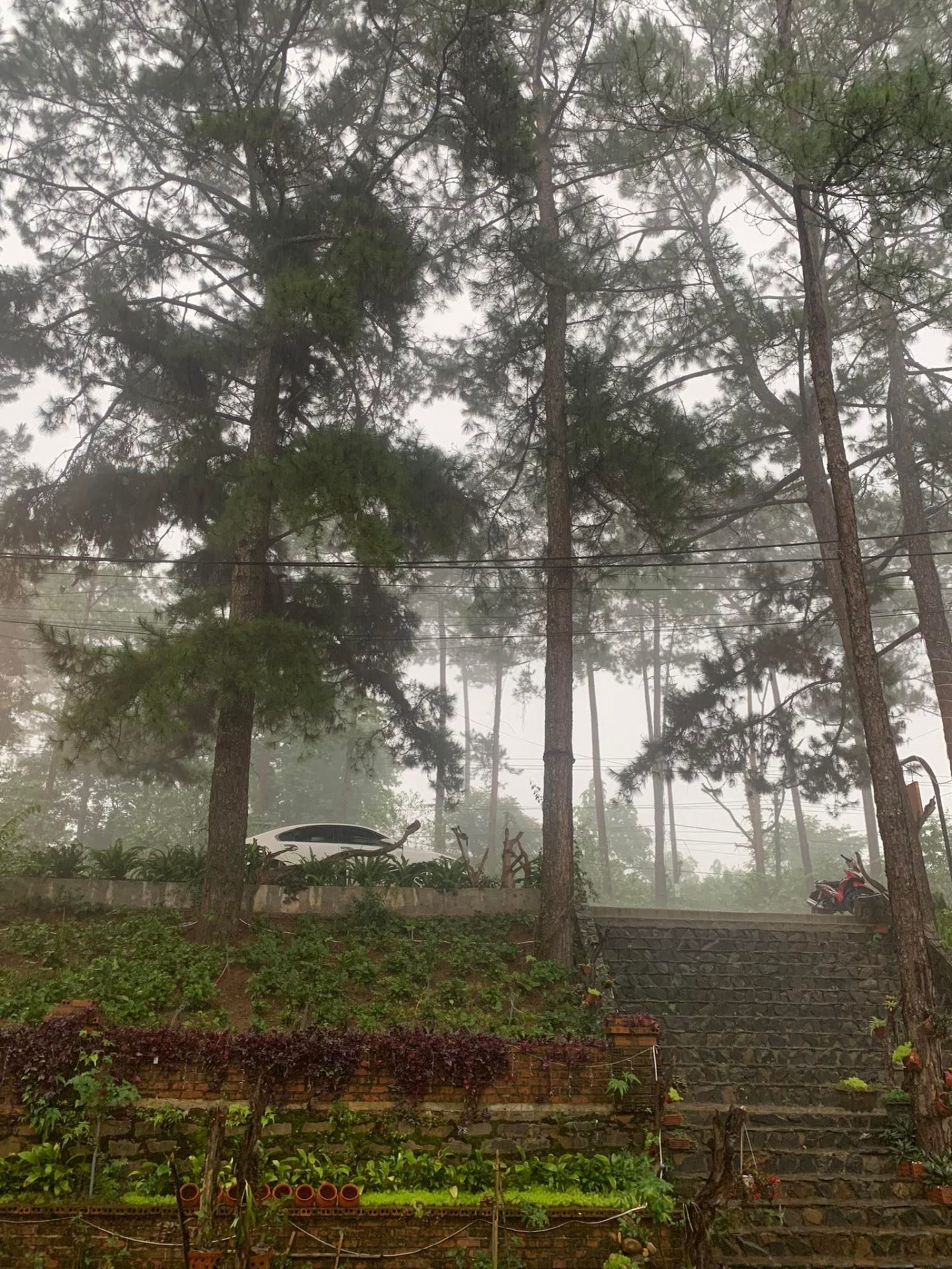 Một chiều mưa phùn tại Măng Đen
